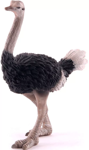 COLLECTA Страус L арт.88459b Фигурка животных