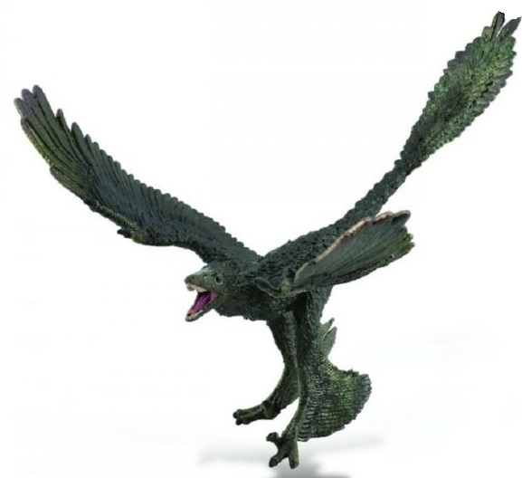 COLLECTA Микрораптор 1:6 арт.88875b Фигурка животных