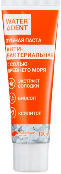 Зубная паста WATERDENT Антибактериальная 100 гр