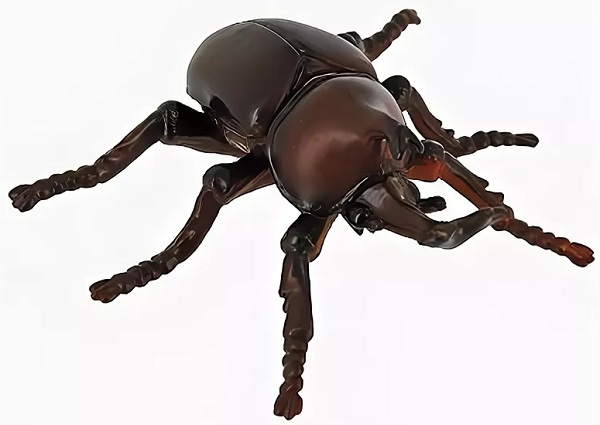 COLLECTA Жук носорог M арт.88337b Фигурка животных
