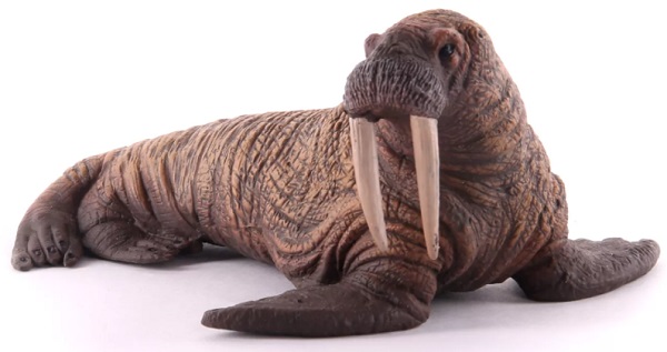 COLLECTA Морж L арт.88569 Фигурка животных