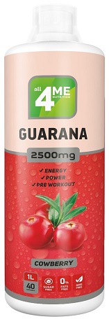 Гуарана 2500мг 1000мл Брусника 4me Nutrition  &