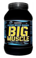 Maxpower Big Muscle Evolution гейнер банка 2500 г.клубника