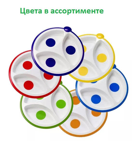 Тарелки DrBROWNS 6м+ (2шт) Пластиковые 3-х секционные (цв.в асс)