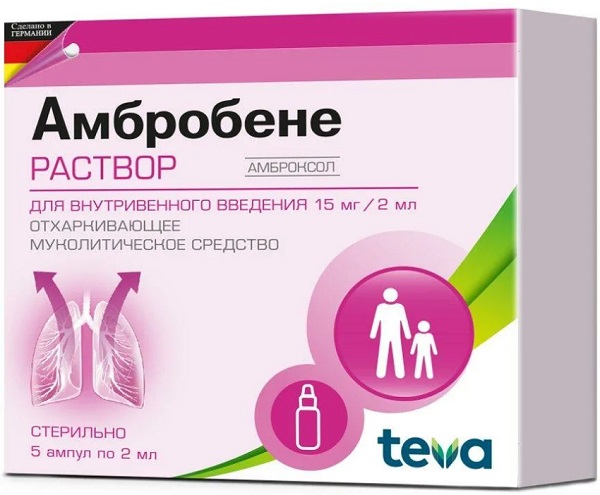 Амбробене амп. 15 мг 2 мл №5 ( амброксол ) / Амбробене Тева (Упаковка)