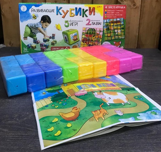 MERAMAX LTD 6м+ Развивающие Кубики арт.1040