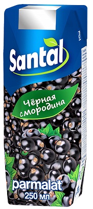 Santal Черная смородина 250мл Напиток т/пак