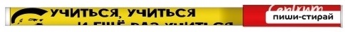 Ручка гелевая Пиши-стирай "Учиться, учиться" CENTRUM синяя