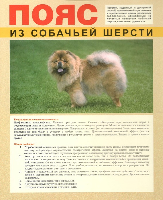 Лекарь Пояс из собачей шерсти раз.М (85-95)