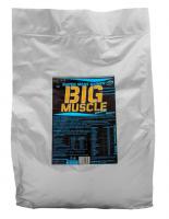 Гейнер Big Muscle Mass Gainer  пакет 2500 г.ваниль